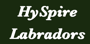 Vonnie & Jim Russell Shannon Brown HySpire@aol.com HySpirejim@outlook.com Vonnie (209) 402-4488 Jim (209) 702-1009